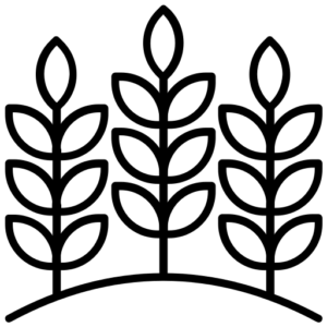 acumatica